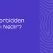 403 Forbidden Hatasi Nedir