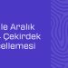 Google Aralik 2024 Cekirdek Guncellemesi