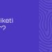H1 Etiketi Nedir