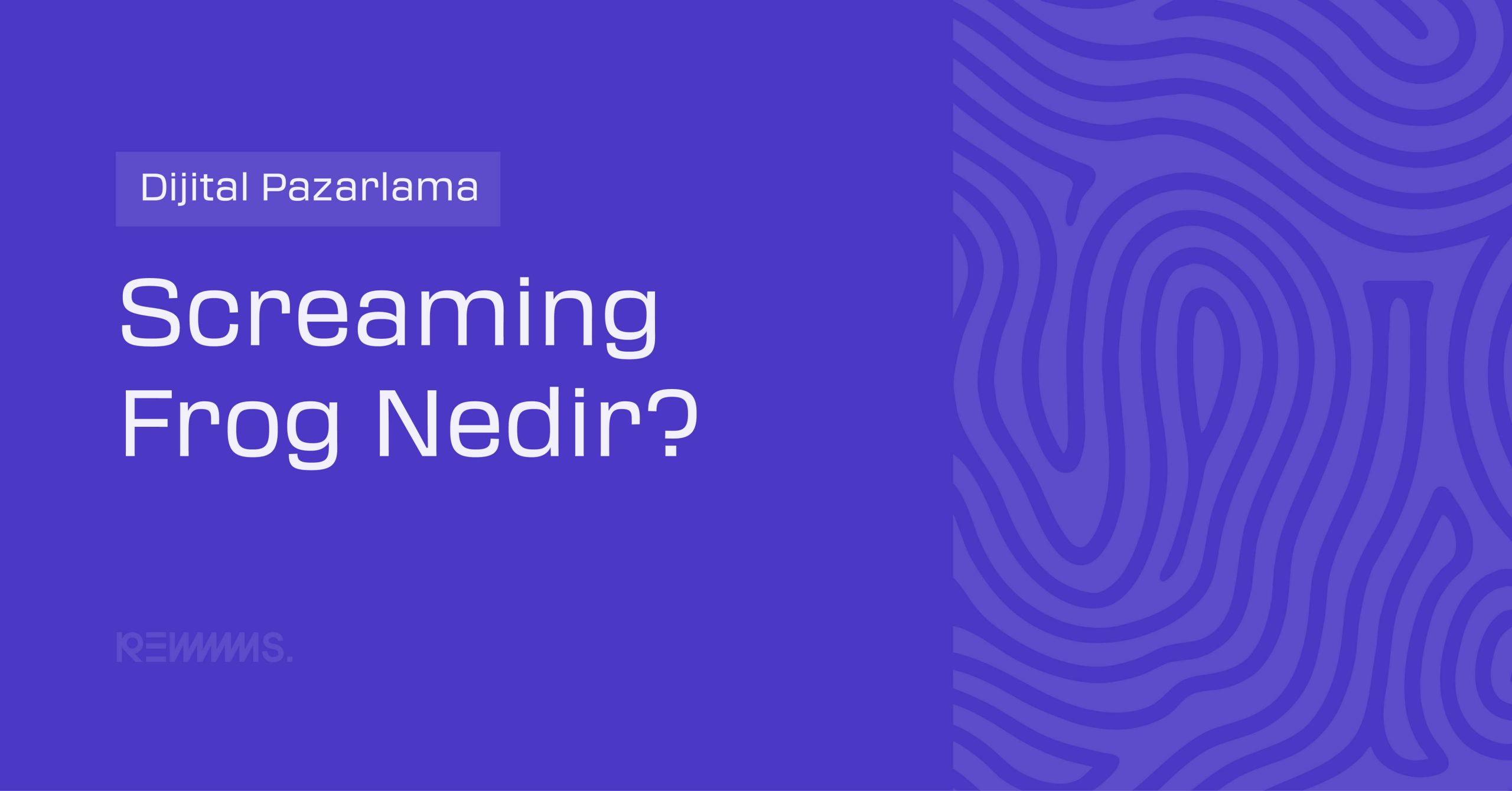 Screaming Frog Nedir, Nasıl Kullanılır?