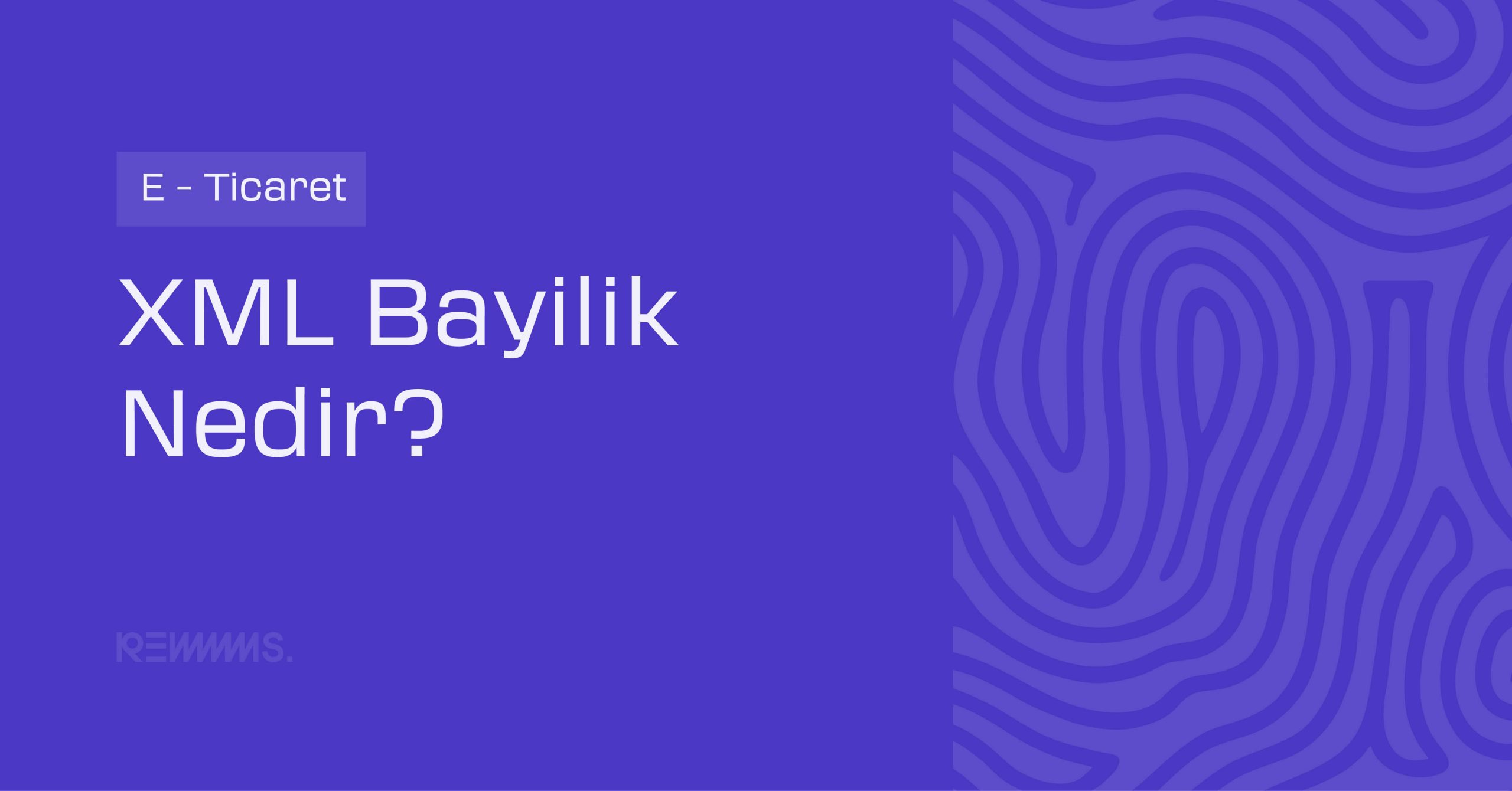 XML Bayilik Nedir?