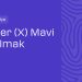 Twitter (X) Mavi Tik Almak