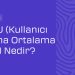 ARPU (Kullanıcı Başına Ortalama Gelir) Nedir?