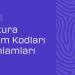 E-Fatura Durum Kodları ve Anlamları