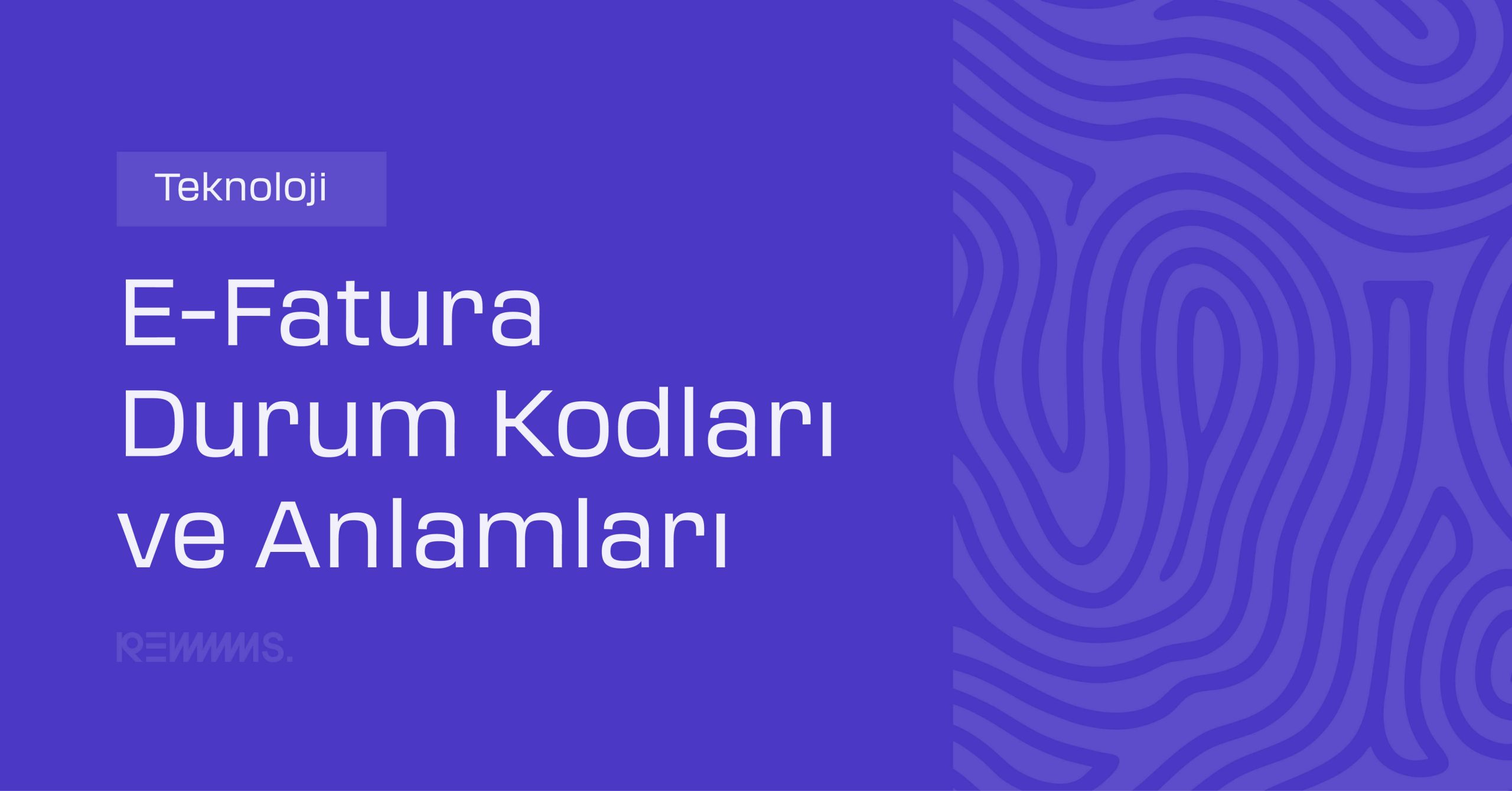E-Fatura Durum Kodları ve Anlamları