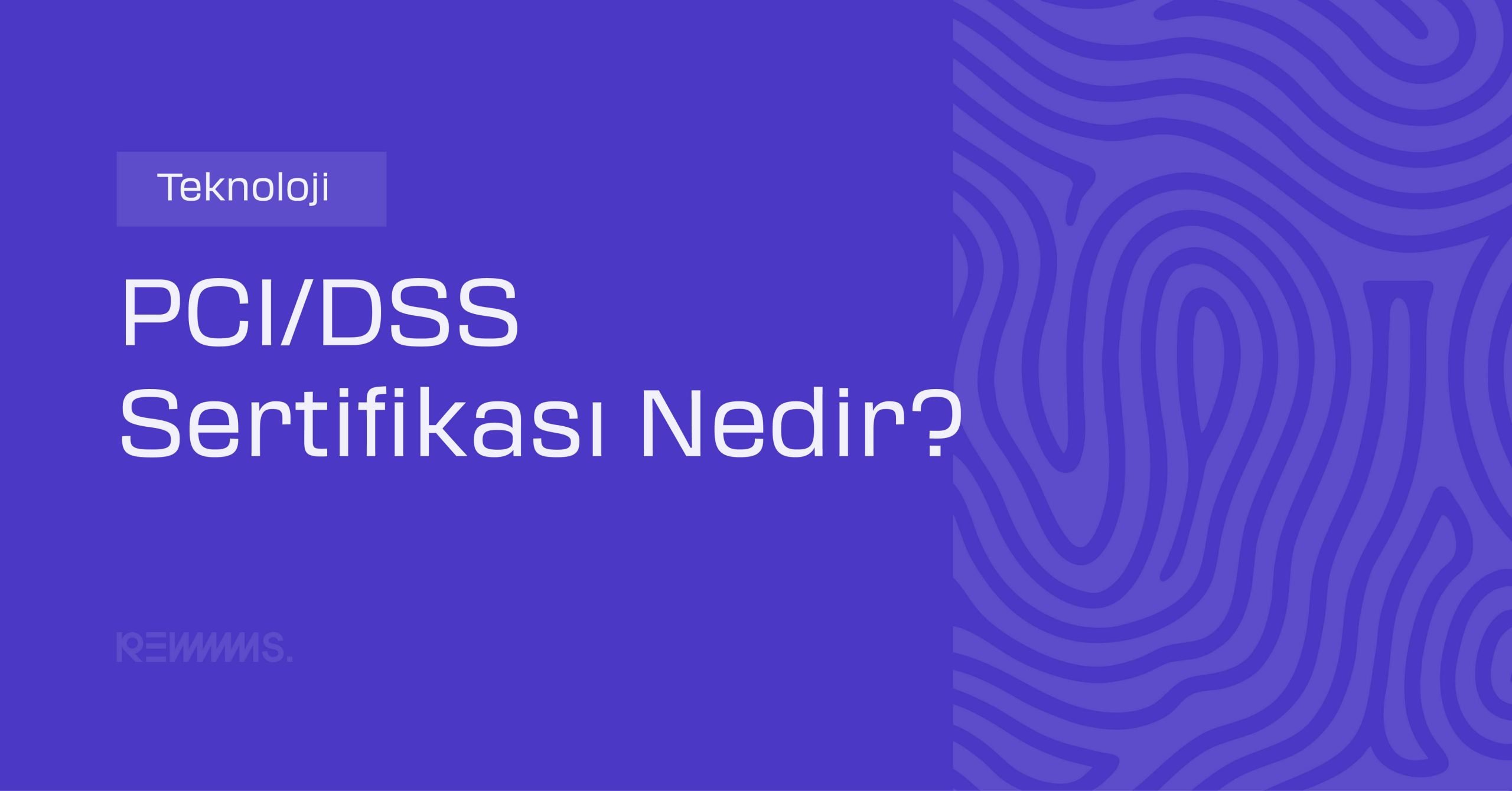 PCI/DSS Sertifikası Nedir?